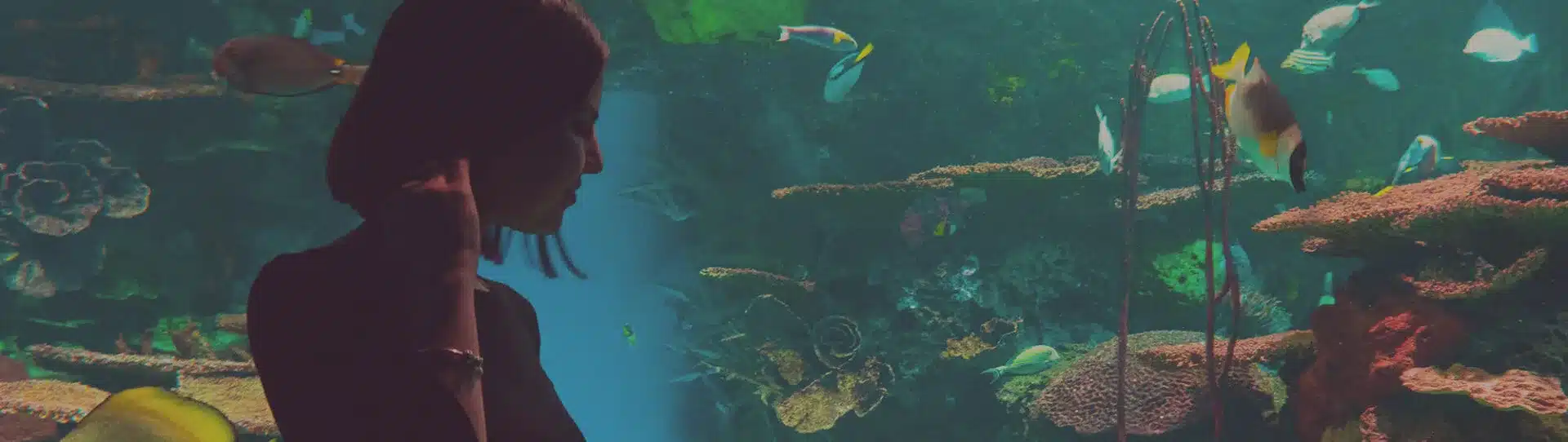 Frau steht vor einem riesigen Aquarium