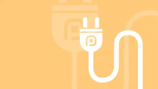 Pamyra Stecker mit Kabel